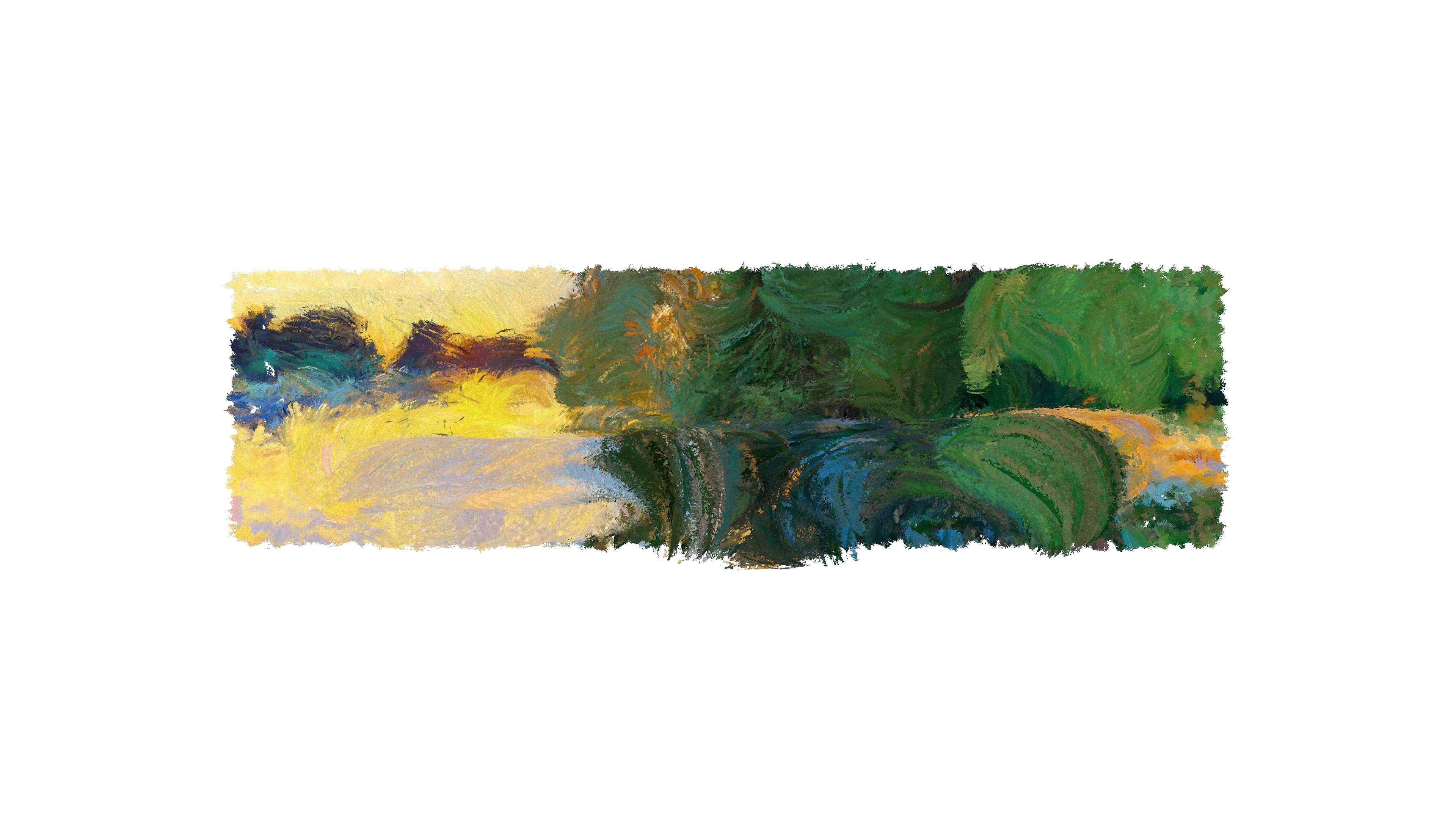 Studies of Artificial Landscapes